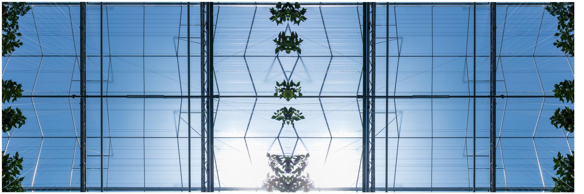 Solar Glass for Greenhouses